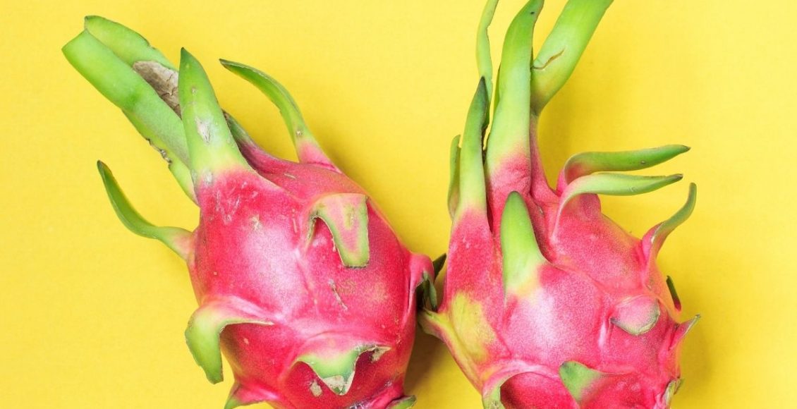 como plantar pitaya - Reprodução Canva (1)