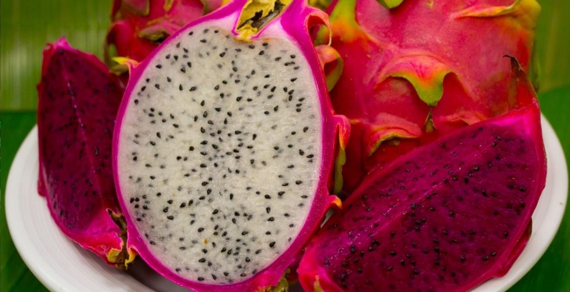 como plantar pitaya - Reprodução Canva