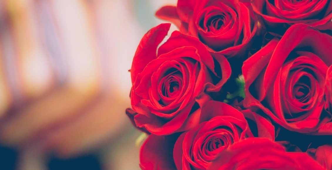 como plantar rosas - Reprodução Canva (1)