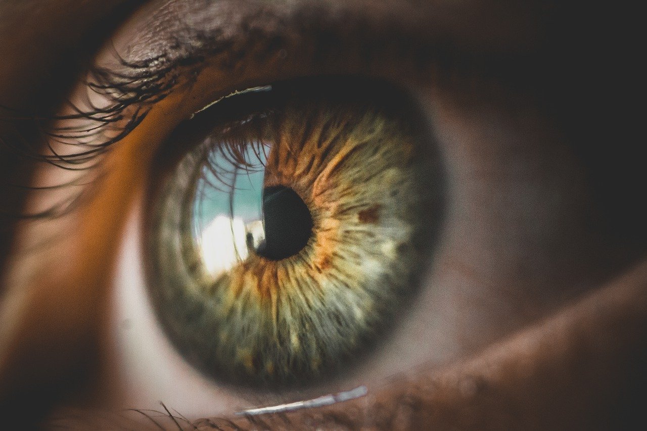 Conheça 3 hábitos que prejudicam a visão, e pare antes que seja tarde de mais - Pixabay