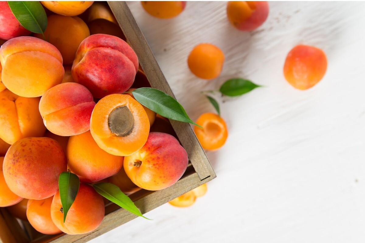 Damasco: conheça os principais benefícios dessa fruta incrível - Reprodução Canva