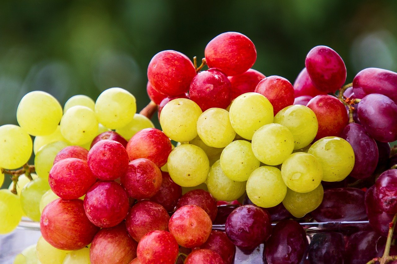 A uva é um antioxidante poderoso e que traz também muitos benefícios para o coração, saiba mais - Pixabay