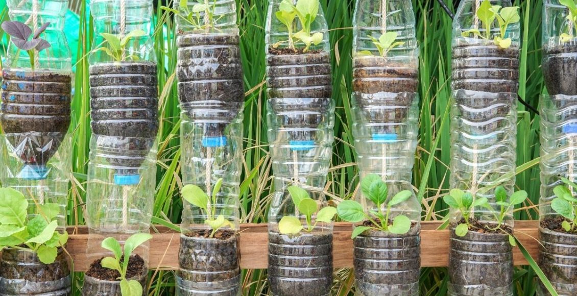 Como fazer uma horta com pouco espaço: rápido e barato. Descubra agora — Reprodução do Canva.