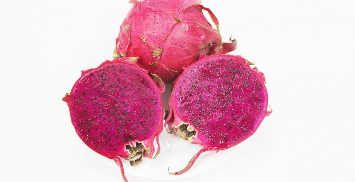 Como plantar pitaya no quintal e ter os melhores benefícios - Imagem retirada do pixabay