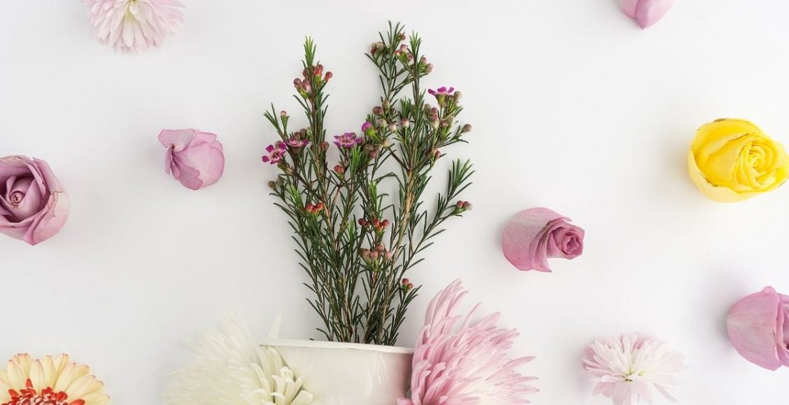 Plantas grandes: conheça algumas para usar na decoração da sua casa - pixabay