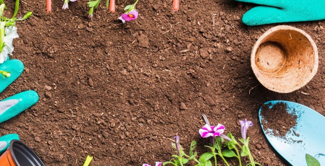 Decoração de jardim: veja 3 formas para deixar o jardim mais estiloso - pixabay