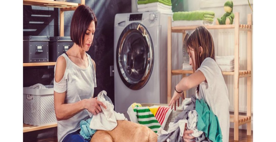 Lavar roupas e panos do cachorro na máquina de lavar: pode? Veja dicas super fáceis - Fonte: Pixabay