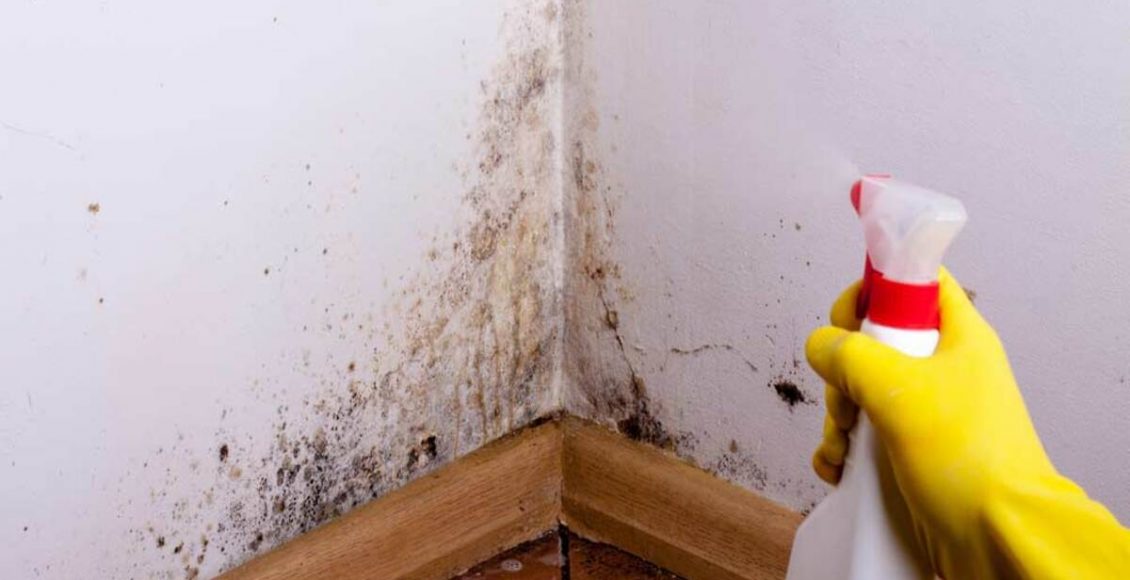 Como tirar cheiro de mofo da casa fechada? Veja as dicas mais infalíveis - Fonte Pixabay