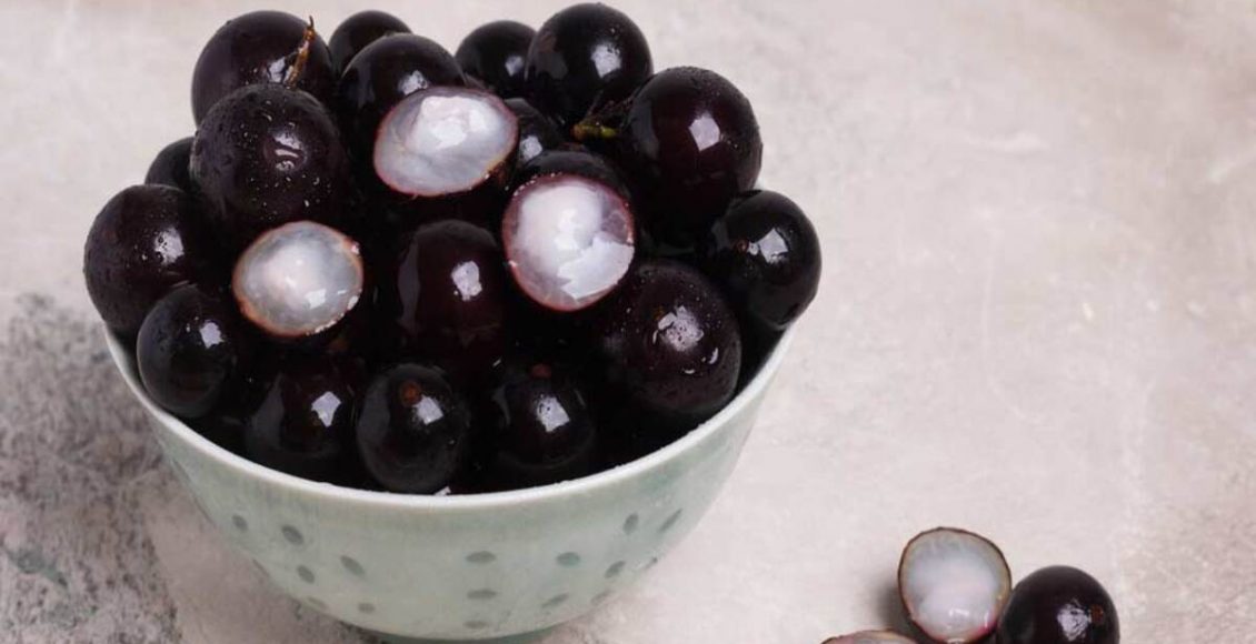 Como plantar semente de jabuticaba? Veja passo a passo mais fácil do mundo para fazer mudas - Fonte: Pixabay