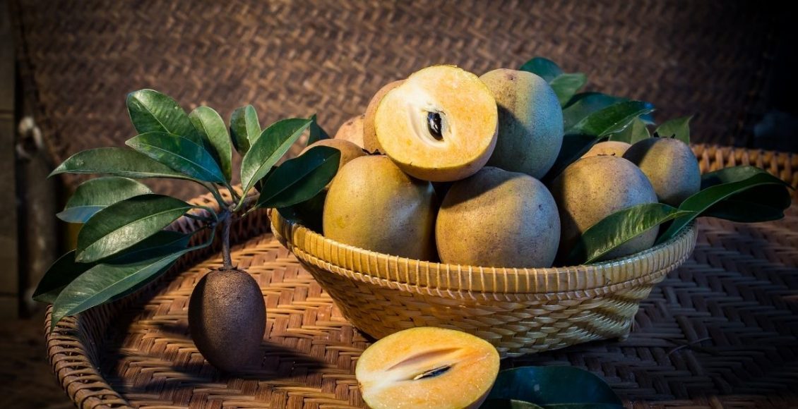 Sapoti: conheça a fruta que é saborosa e rica em vitaminas e minerais. Reprodução: canva