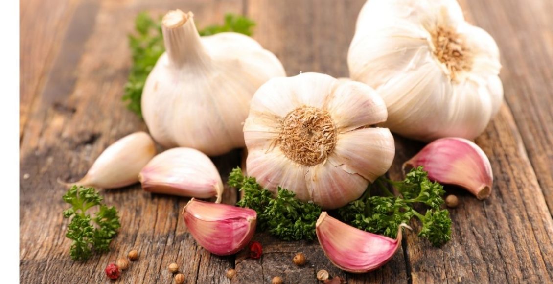 Alho - Reprodução Canva