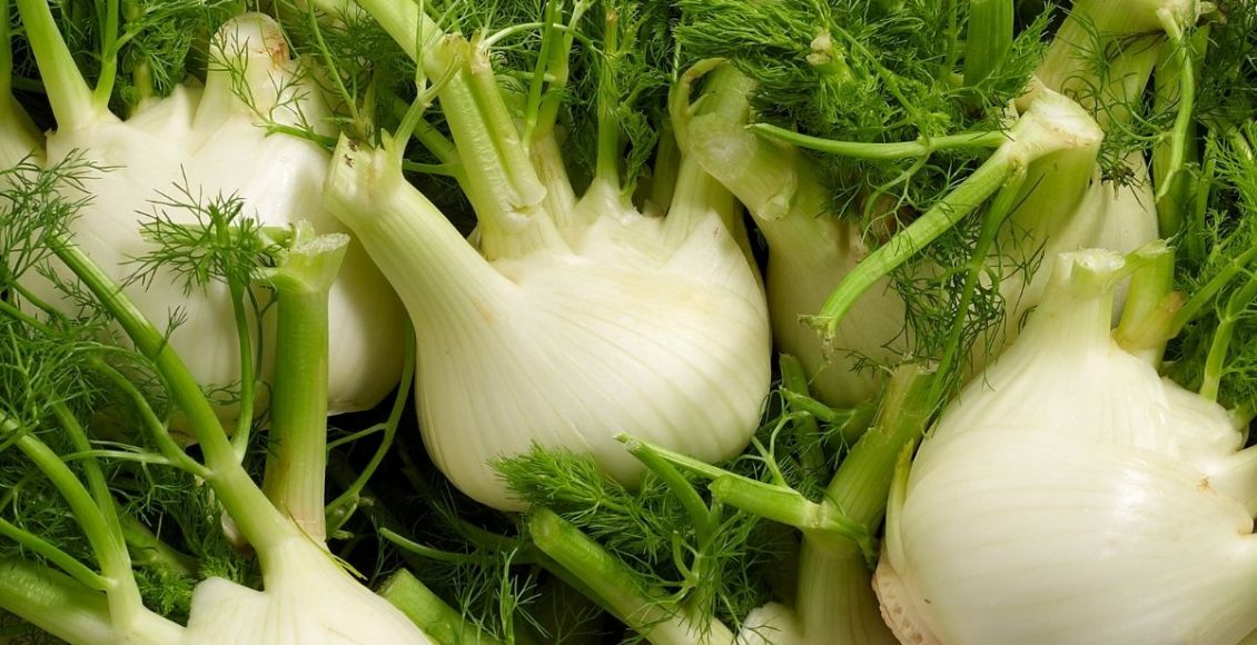 Aprenda como plantar funcho e não gaste mais dinheiro comprando - reprodução: Canva