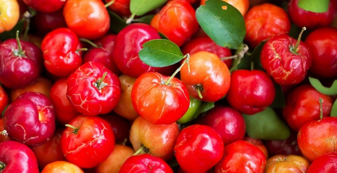 Tenha uma fonte de vitamina C na sua casa: aprenda como plantar acerola - reprodução: Canva