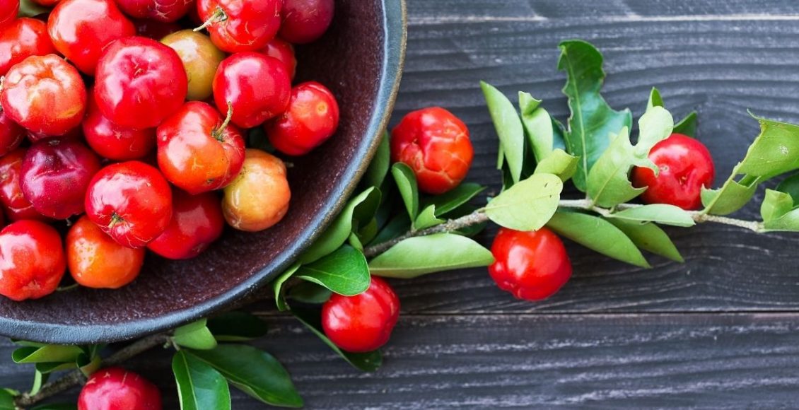 Se surpreenda com esse jeito fácil de como plantar acerola - reprodução: Canva