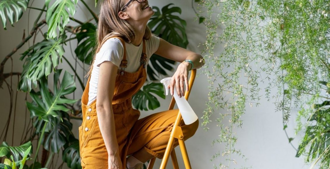 Aprenda como montar uma estufa para plantas em casa- reprodução: Canva