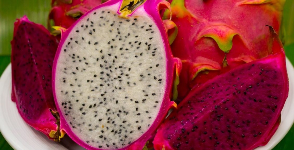 Aprenda agora mesmo como plantar pitaya, essa fruta tão exótica e da moda - reprodução: Canva