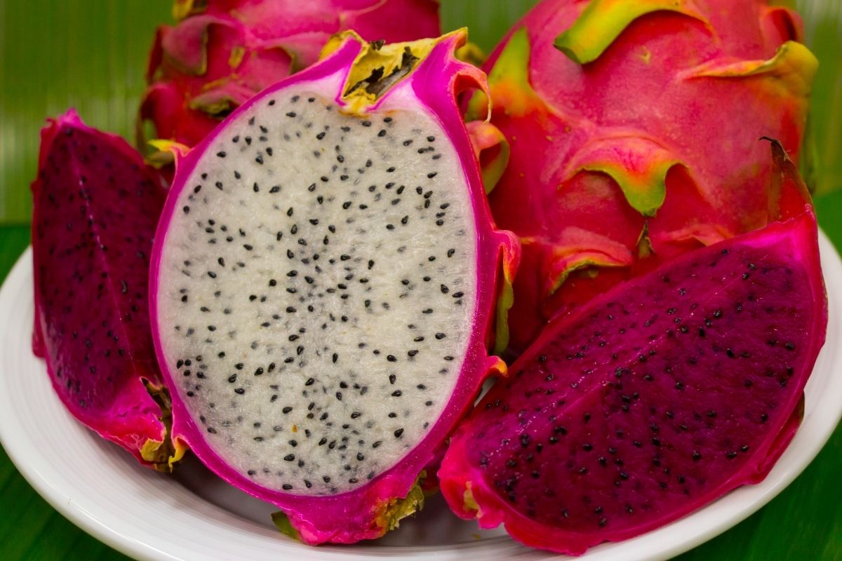 Aprenda agora mesmo como plantar pitaya, essa fruta tão exótica e da moda - reprodução: Canva