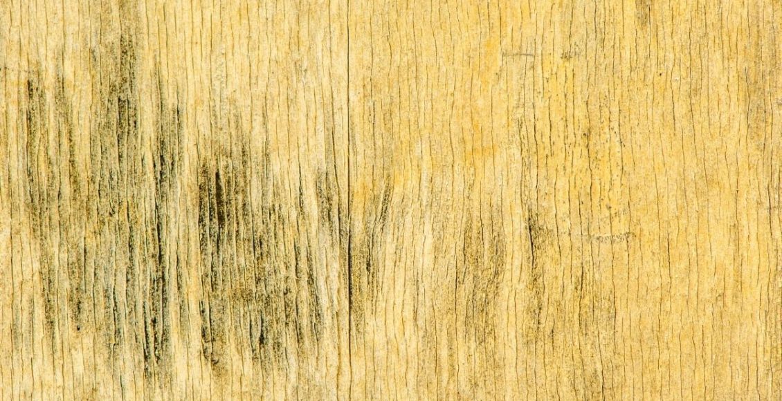 Mofo na madeira - Reprodução Canva