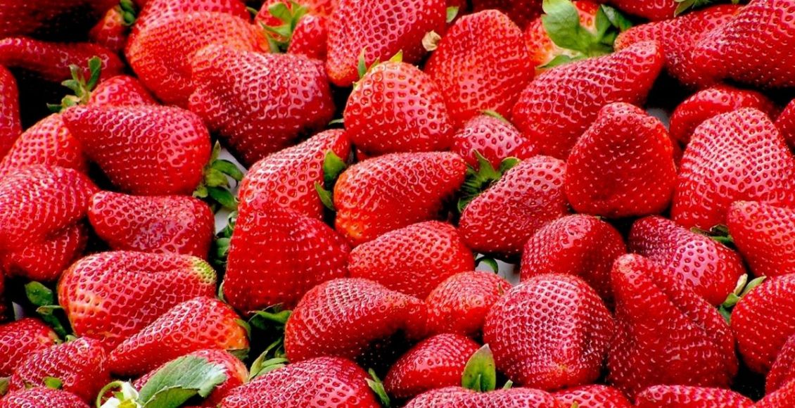 Morango - Reprodução Canva