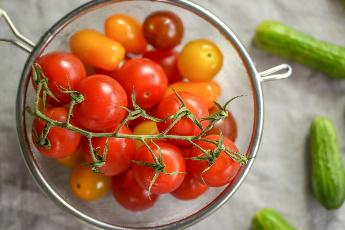 Descubra agora mesmo como plantar tomate cereja em casa; Saiba mais - reprodução: Canva