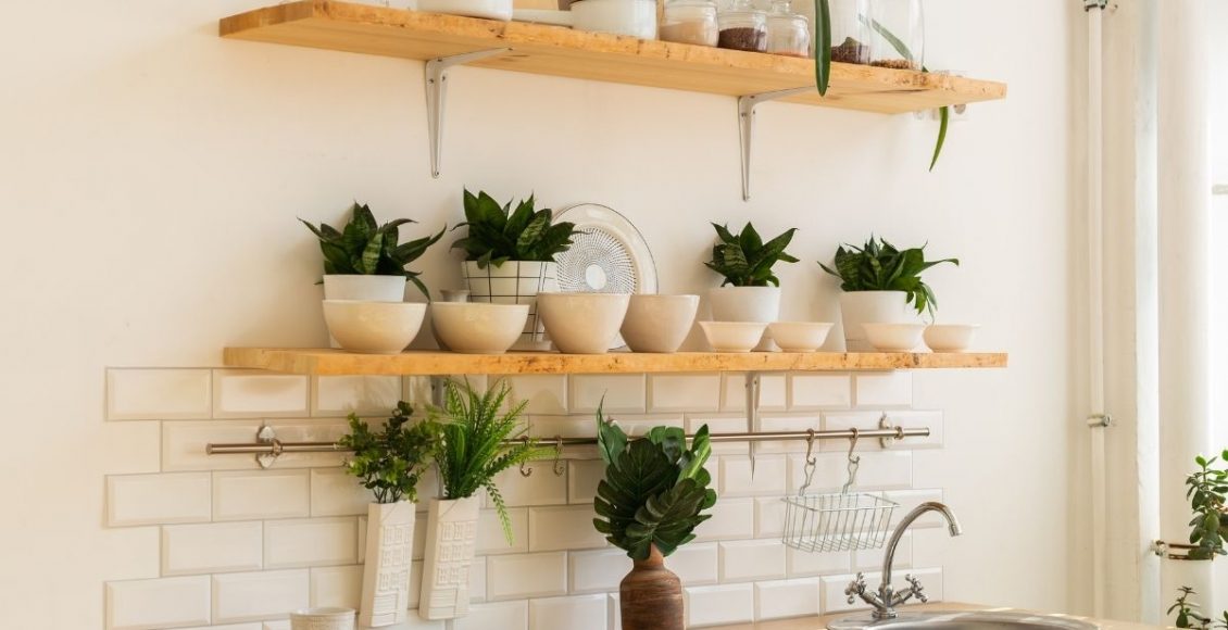 Plantas na cozinha descubra qual planta cultivar nesse ambiente - Reprodução Canva