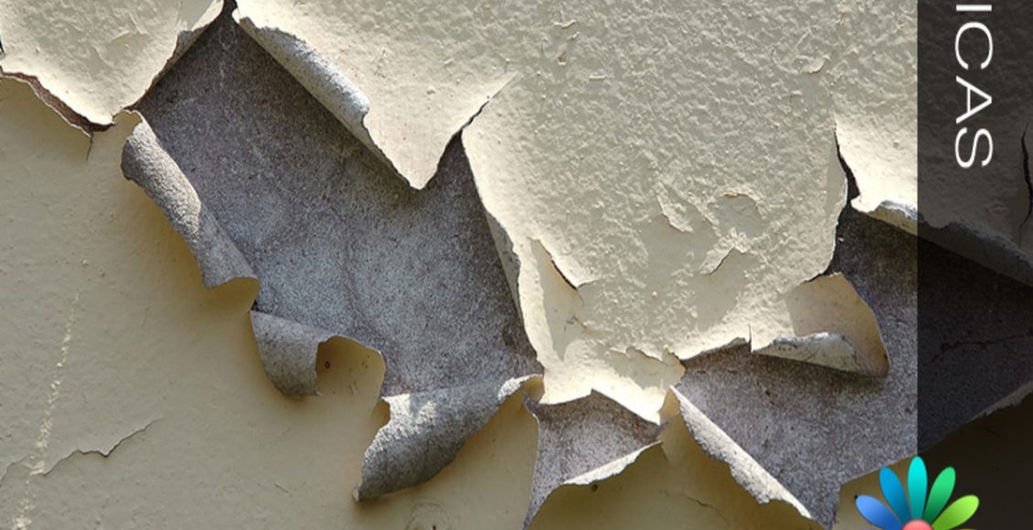 Tinta da parede descascando e saindo: o que pode ser e como corrigir o problema? - Fonte: Pixabay