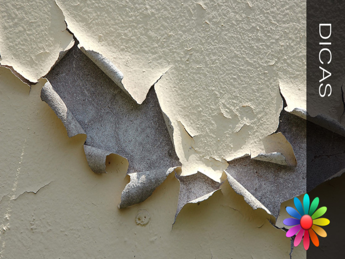 Tinta da parede descascando e saindo: o que pode ser e como corrigir o problema? - Fonte: Pixabay