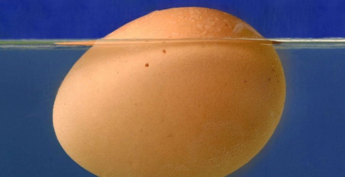 Truque caseiro para descobrir se o ovo está fresco ou estragado - Reprodução Canva