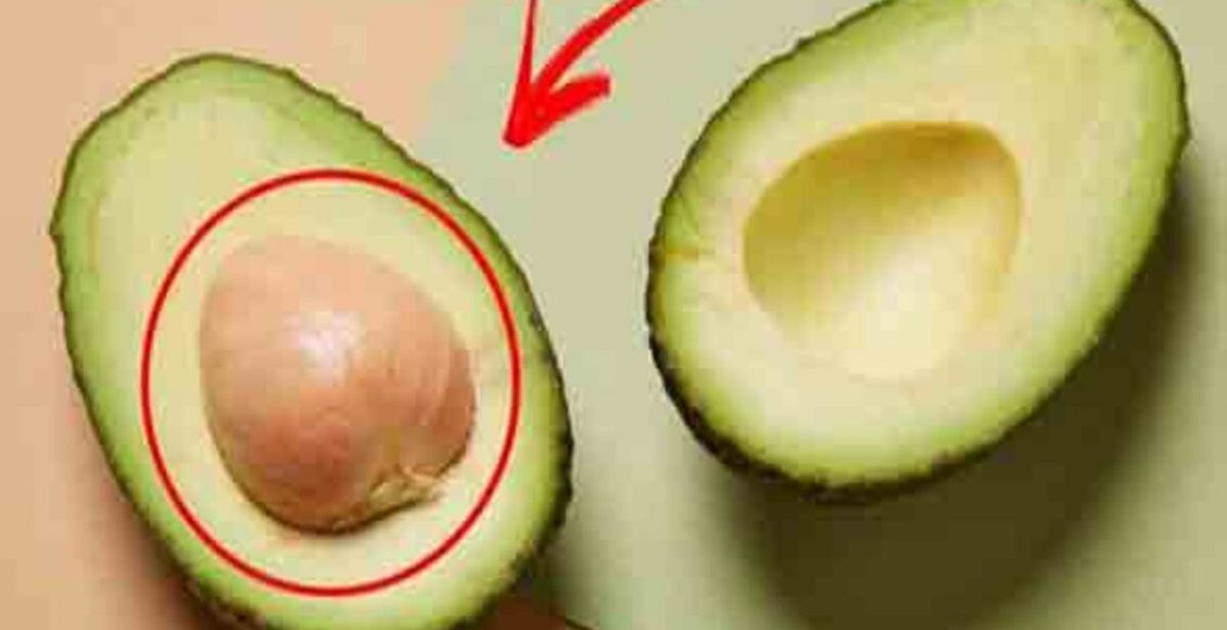 Como plantar caroço de abacate? Veja dicas para ter essa fruta super nutritiva em sua casa - Fonte: Pixabay