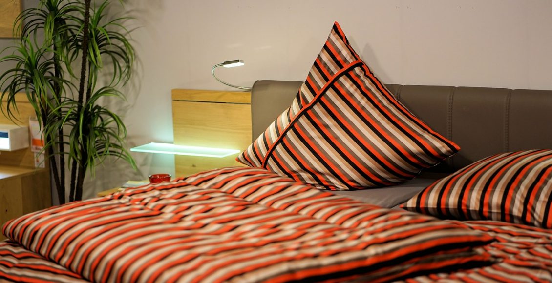 Decoração com plantas para quarto: veja ideias incríveis e lindas - pixabay