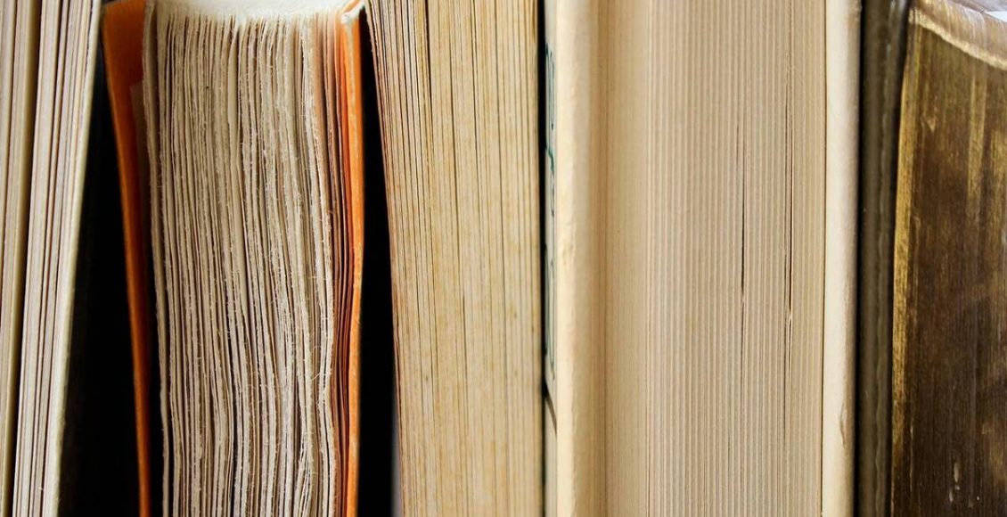 Como limpar a estante de livros mofada? Veja como proteger os seus livros e espantar os fungos - Fonte: Pixabay