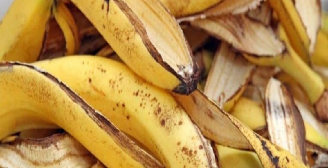 Veja a dica mais perfeita do mundo de como reutilizar a casca da banana na sua cozinha - Fonte - Pixabay