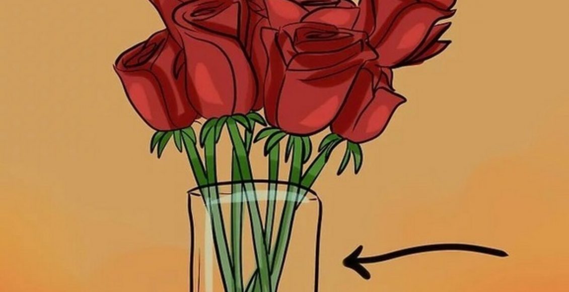 Como conservar buquê de flores na geladeira? Veja dicas práticas para fazer ele durar mais tempo - Fonte: Pixabay