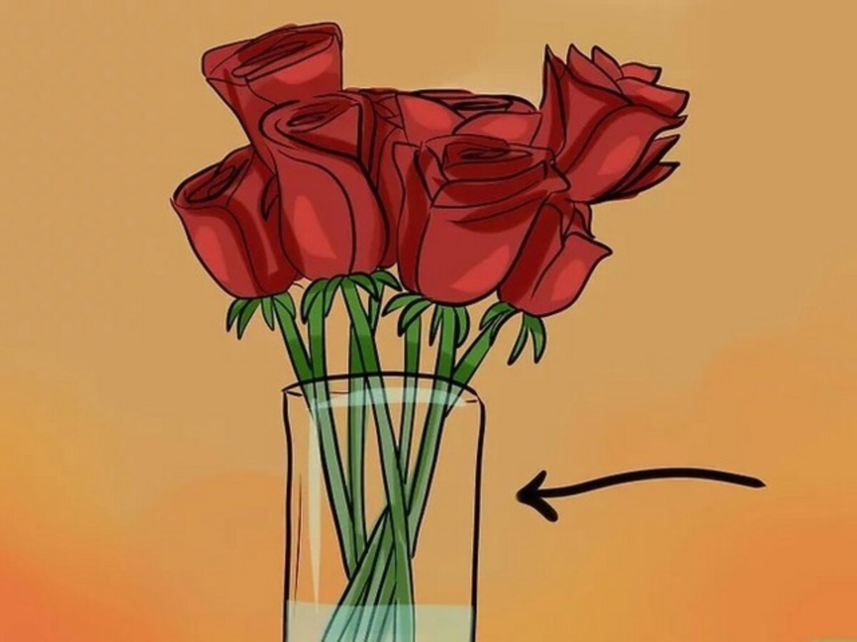 Como conservar buquê de flores na geladeira? Veja dicas práticas para fazer ele durar mais tempo - Fonte: Pixabay