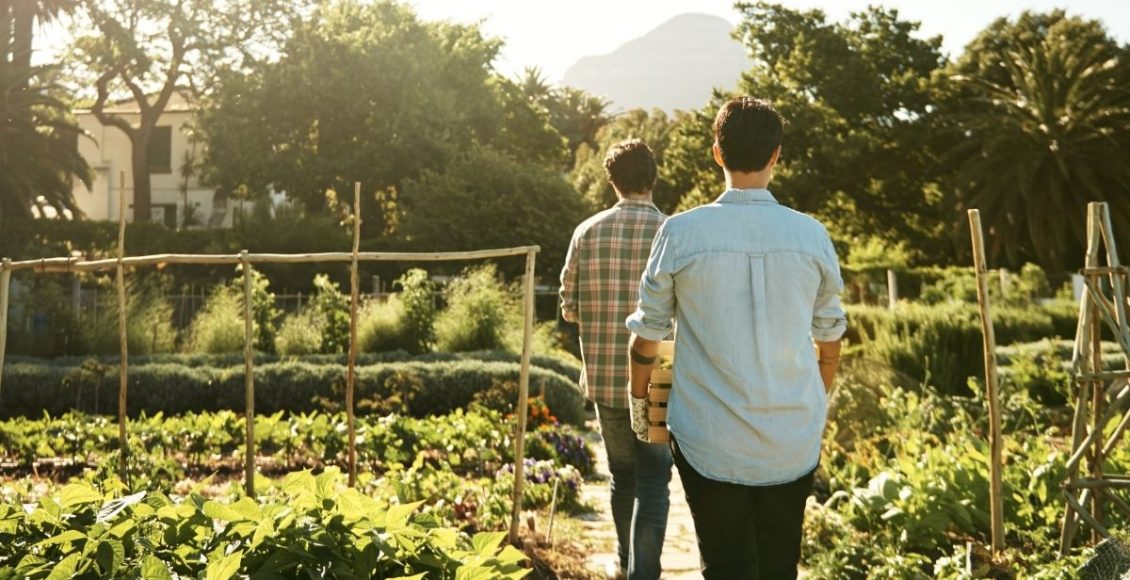 dicas de sustentabilidade para seu jardim ou horta- Reprodução Canva