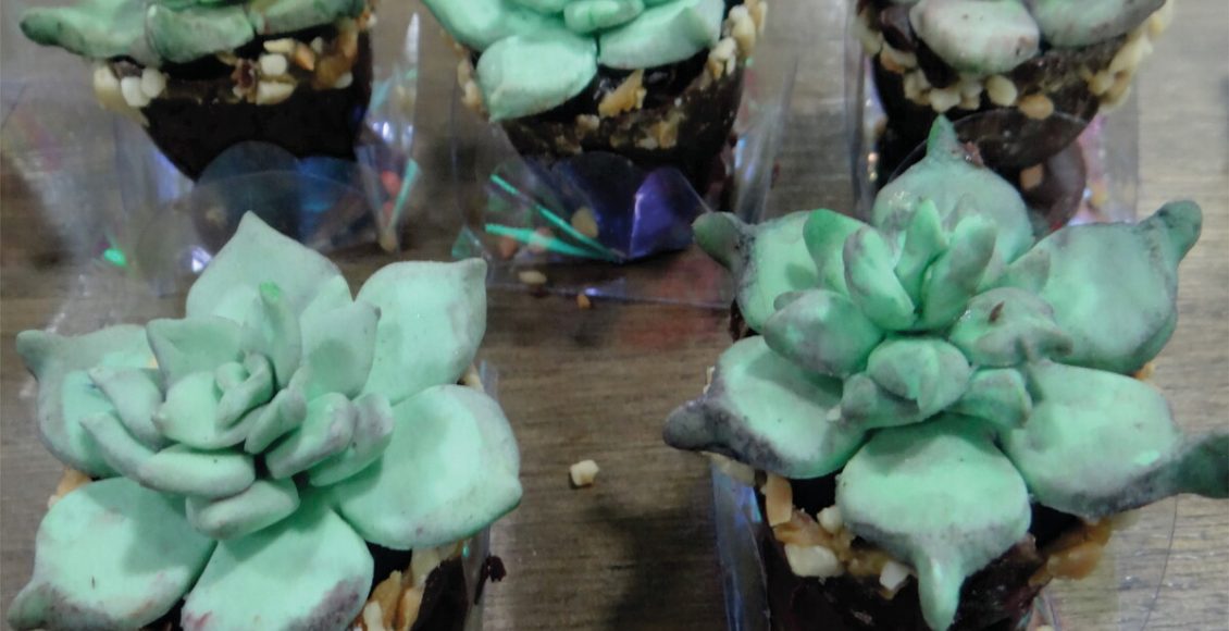 Açúcar nas suculentas? Veja se pode colocar e como vai ficar a sua flor - Fonte: Canvas