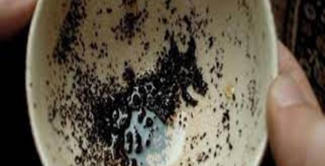 Tente estimular as raízes das rosas com a borra do chá | Método de criação de raízes de rosas - Fonte: Pixabay