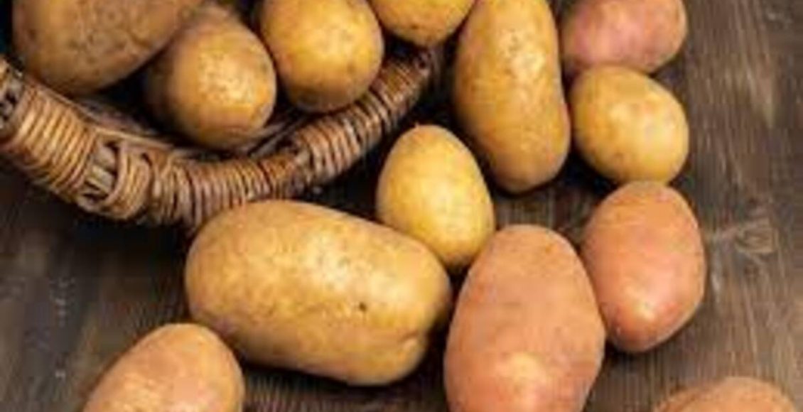 Como plantar batata inglesa em casa dentro do vidro de conserva, veja dicas mais fáceis do mundo - Fonte: Pixabay