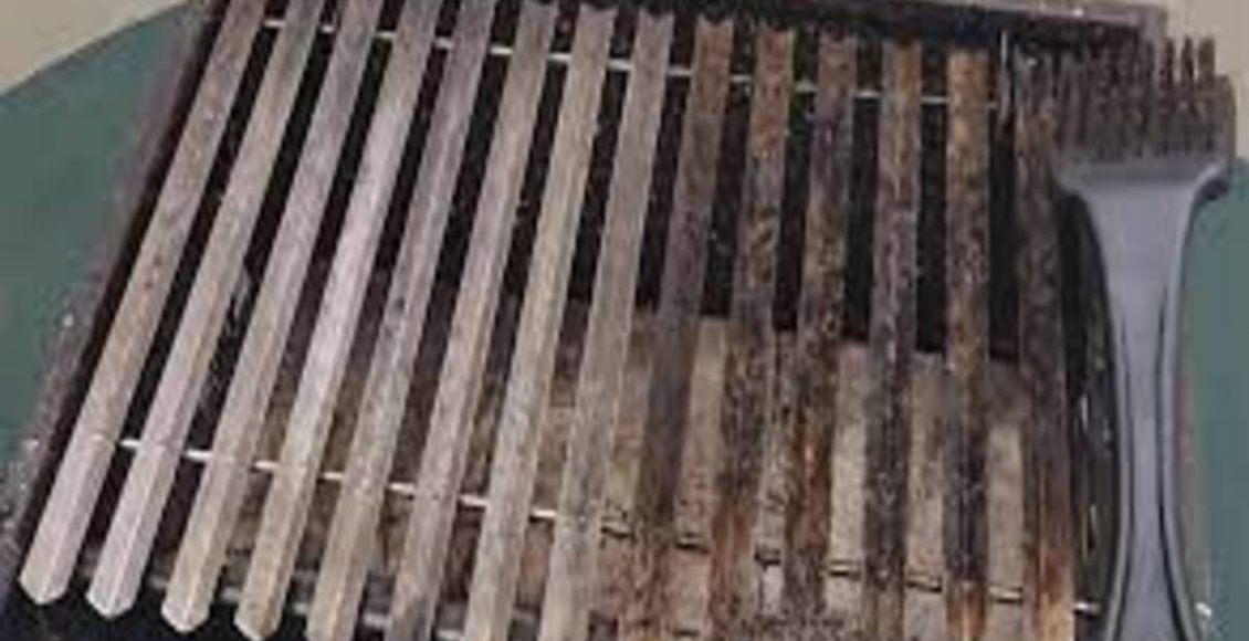 Como limpar a churrasqueira e tirar o excesso de gordura? Veja dicas super fáceis para o dia a dia - Fonte: Canvas