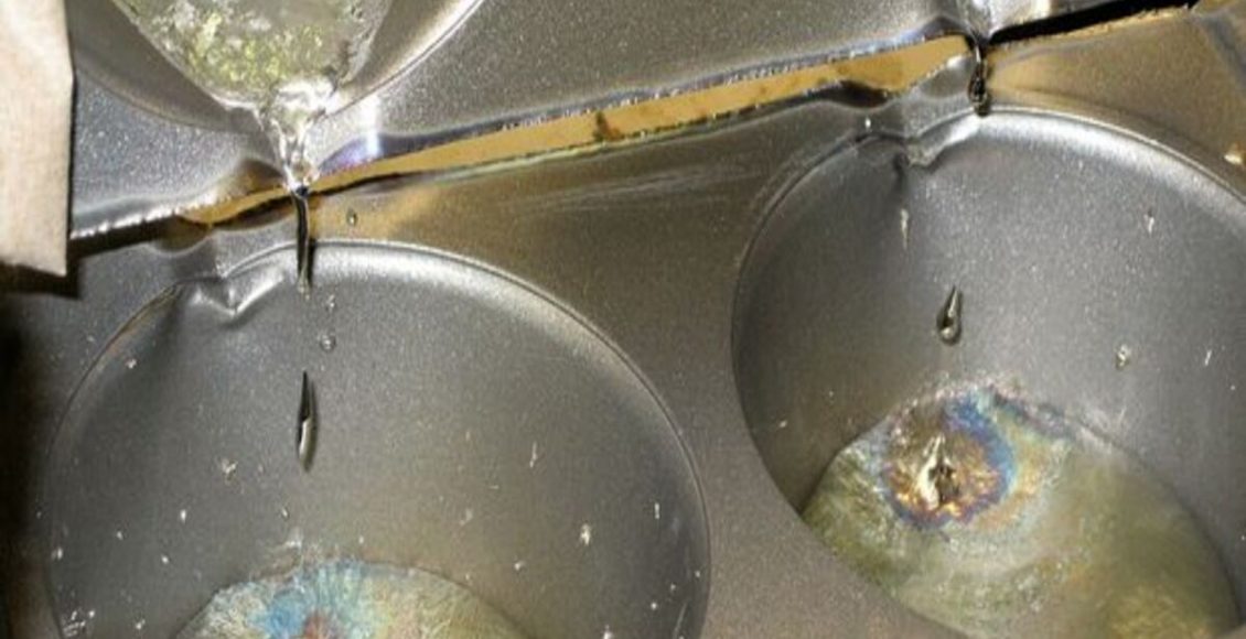 Como fazer substrato de bismuto? Veja receita mais fácil do mundo para fazer em casa com poucos passos - Fonte: Pixabay