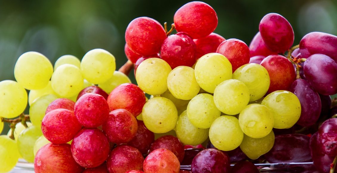 Confira algumas frutas saudáveis que você pode incluir na sua dieta - pixabay