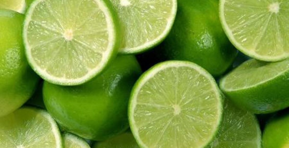 Como fazer mudas de limão e laranja rapidinho sem gastar nada