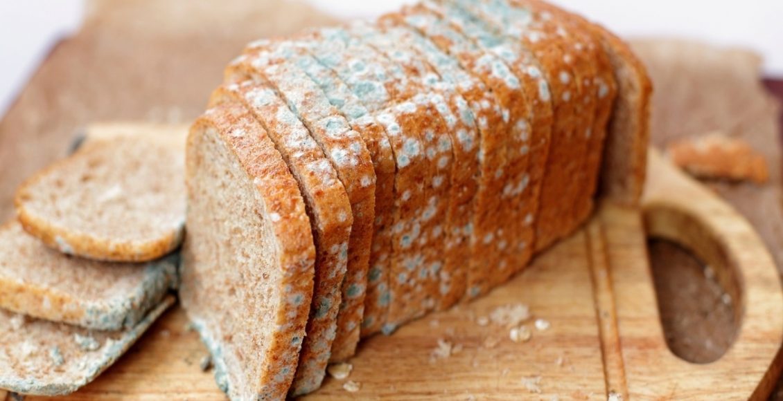 Lista de 03 alimentos que se pode comer mesmo depois que está vencido - Fonte: Pixabay