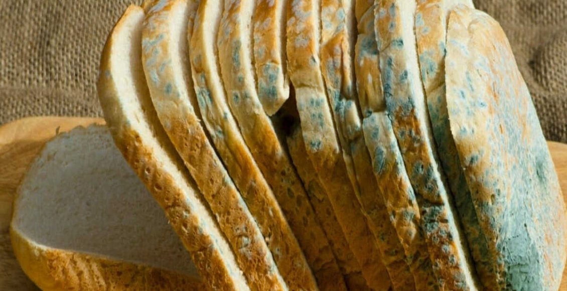 Pode comer pão de forma vencido? Veja o que dizem os especialistas - Fonte: Pixabay