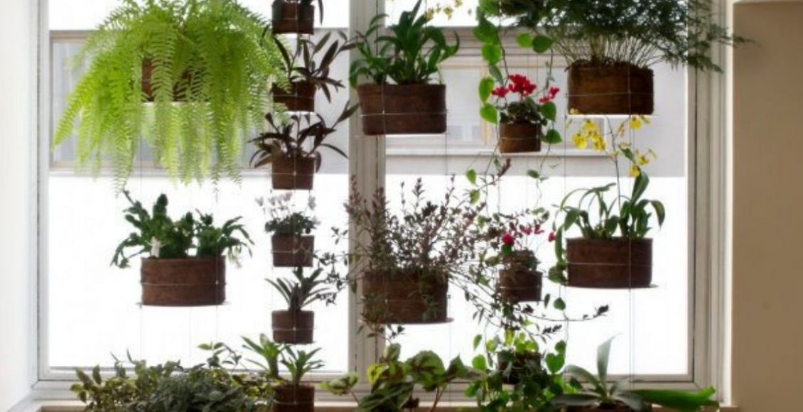 Conheça as vantagens do jardim suspenso em casa; confira a seguir - pixabay