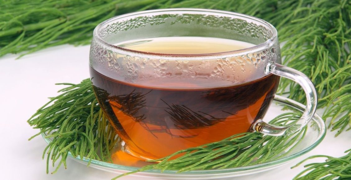 Chá de cavalinha é bom para quê? (Reprodução Canva Pro)