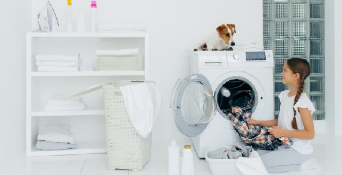 Pode lavar roupa de cachorro na máquina? Veja dicas para cuidados com as peças (Foto: Canva Pro)