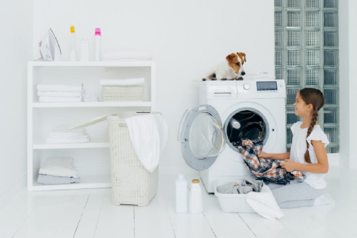 Pode lavar roupa de cachorro na máquina? Veja dicas para cuidados com as peças (Foto: Canva Pro)