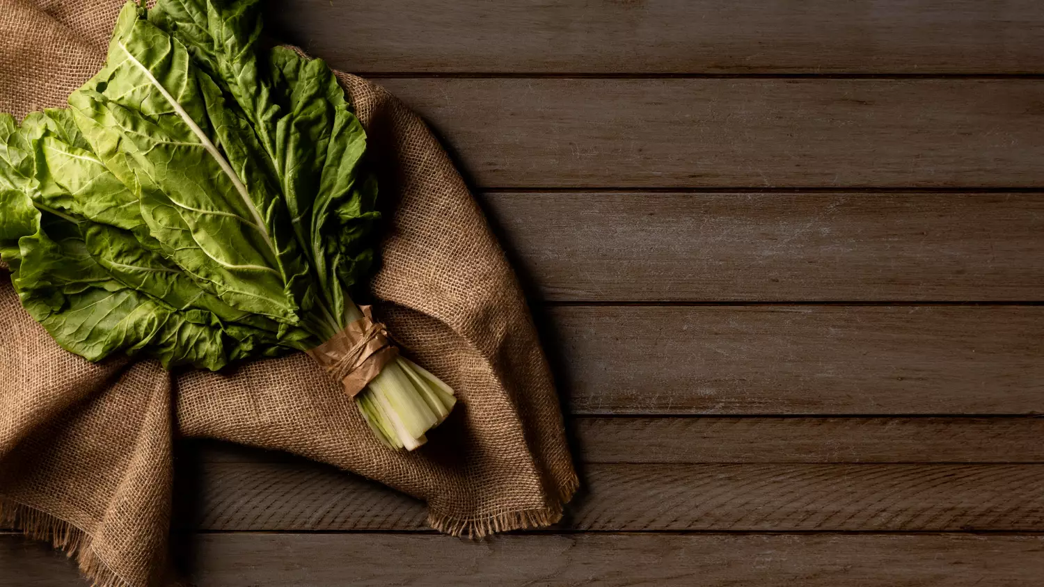 Como fazer remédio caseiro para acabar com pulgão de couve? Veja como preparar a livre sua horta de casa