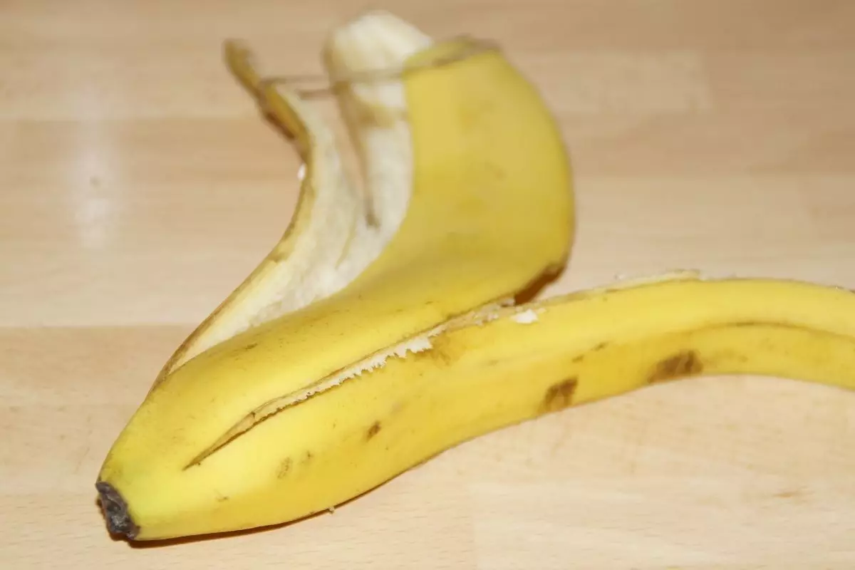 Saiba 4 maneiras de utilizar a casca de banana em hortas ou jardins de sua casa